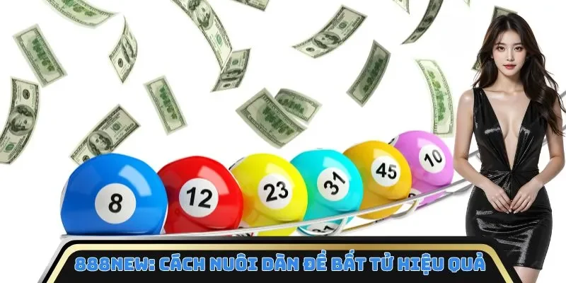 888NEW: Cách nuôi dàn đề bất tử hiệu quả