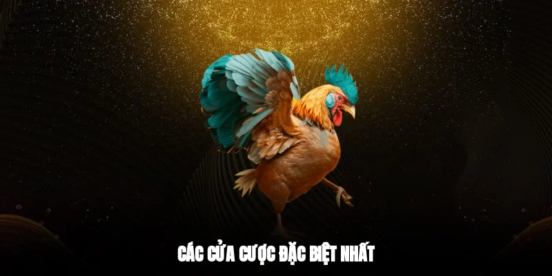 Các cửa cược đặc biệt nhất