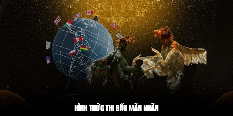 Hình thức thi đấu mãn nhãn