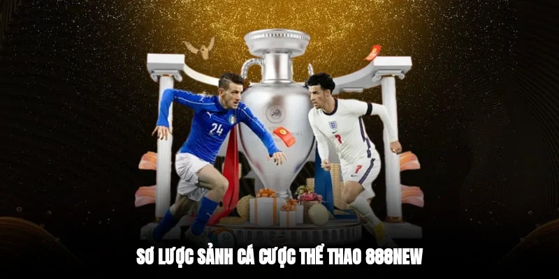 Sơ lược sảnh cá cược thể thao 888new